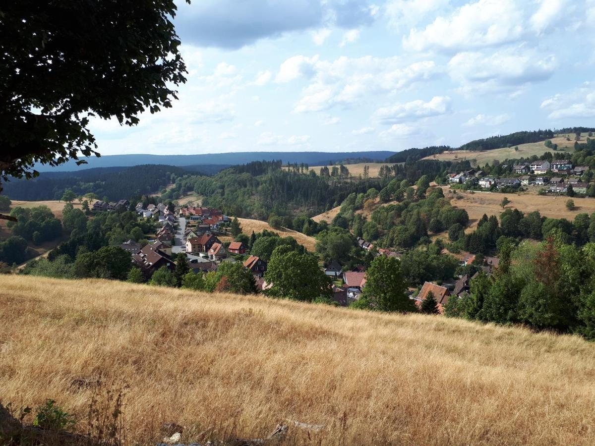 Traumharz Apartman Sankt Andreasberg Kültér fotó